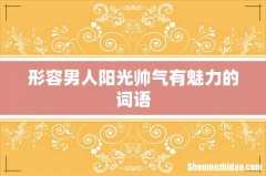形容男人阳光帅气有魅力的词语