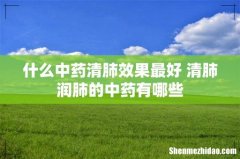 什么中药清肺效果最好 清肺润肺的中药有哪些