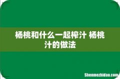 杨桃和什么一起榨汁 杨桃汁的做法