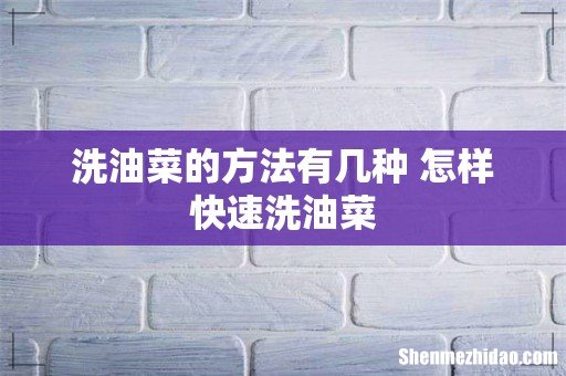 洗油菜的方法有几种 怎样快速洗油菜