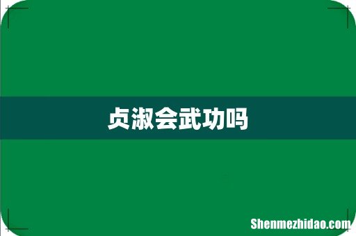 贞淑会武功吗