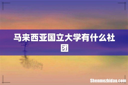 马来西亚国立大学有什么社团