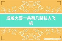 成龙大哥一共有几架私人飞机