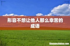 形容不想让他人那么幸苦的成语