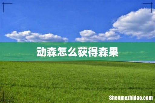 动森怎么获得森果