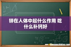 锌在人体中起什么作用 吃什么补钙好
