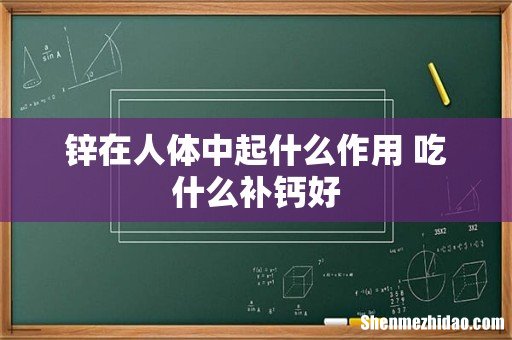 锌在人体中起什么作用 吃什么补钙好