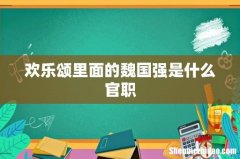 欢乐颂里面的魏国强是什么官职