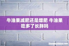 牛油果减肥还是增肥 牛油果吃多了长胖吗