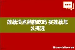 莲藕没煮熟能吃吗 买莲藕怎么挑选
