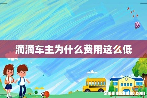 滴滴车主为什么费用这么低