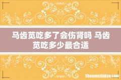 马齿苋吃多了会伤肾吗 马齿苋吃多少最合适