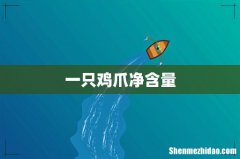 一只鸡爪净含量