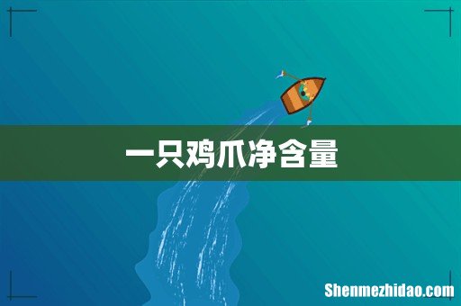 一只鸡爪净含量