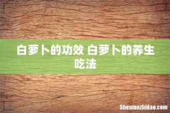 白萝卜的功效 白萝卜的养生吃法