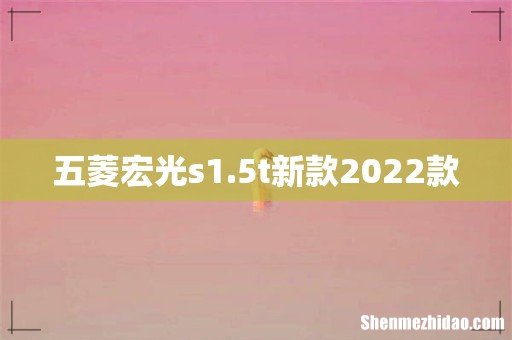 五菱宏光s1.5t新款2022款