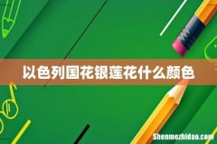 以色列国花银莲花什么颜色