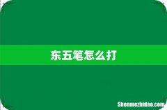 东五笔怎么打