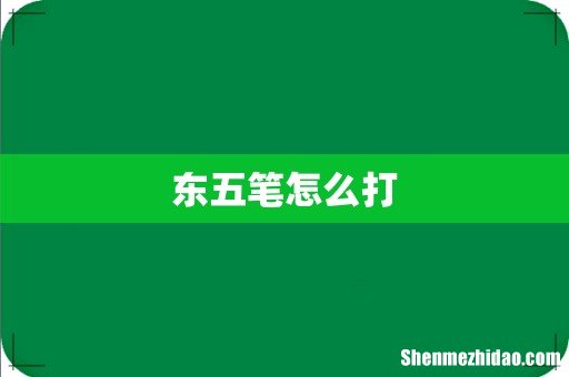东五笔怎么打