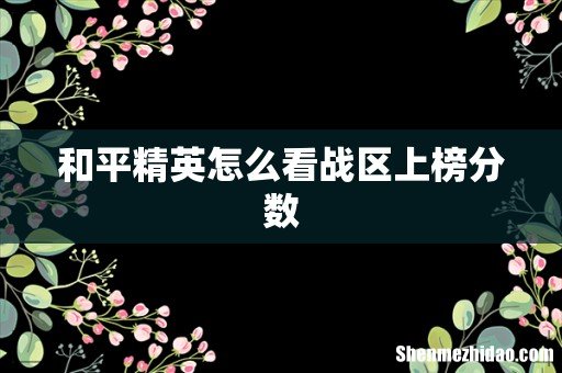 和平精英怎么看战区上榜分数