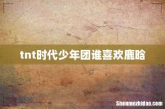 tnt时代少年团谁喜欢鹿晗