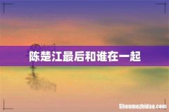陈楚江最后和谁在一起