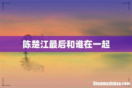 陈楚江最后和谁在一起