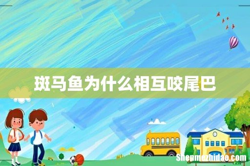 斑马鱼为什么相互咬尾巴