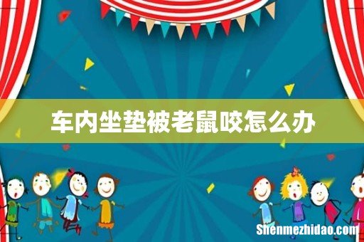 车内坐垫被老鼠咬怎么办
