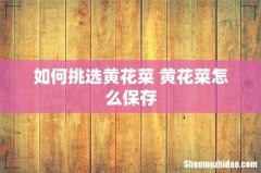 如何挑选黄花菜 黄花菜怎么保存