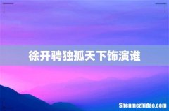 徐开骋独孤天下饰演谁