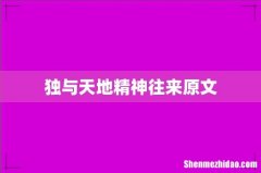独与天地精神往来原文