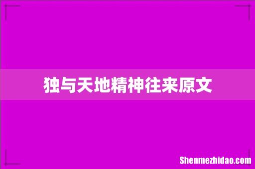 独与天地精神往来原文