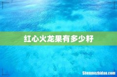 红心火龙果有多少籽