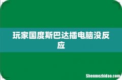 玩家国度斯巴达插电脑没反应