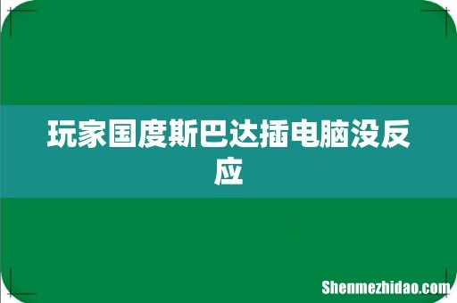 玩家国度斯巴达插电脑没反应