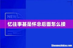 忆往事甚是怀念后面怎么接