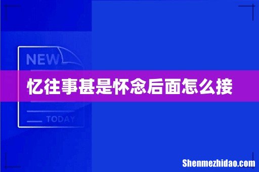 忆往事甚是怀念后面怎么接
