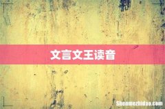 文言文王读音