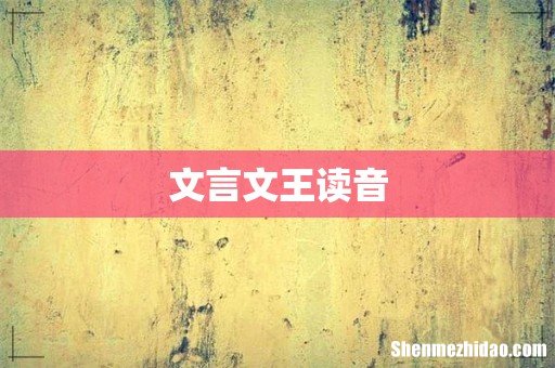 文言文王读音