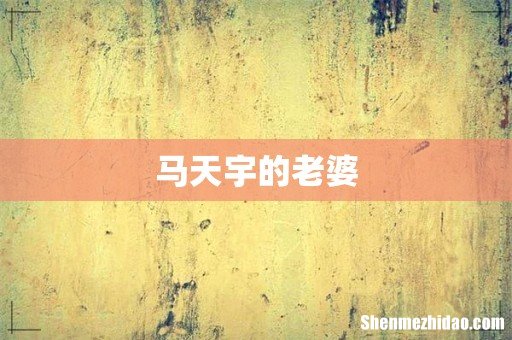 马天宇的老婆