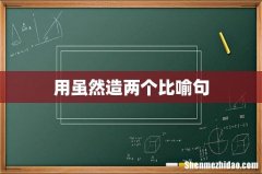 用虽然造两个比喻句