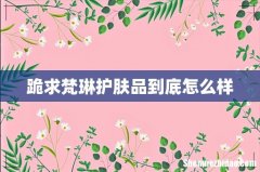 跪求梵琳护肤品到底怎么样