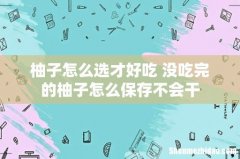 柚子怎么选才好吃 没吃完的柚子怎么保存不会干