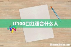 tf100口红适合什么人