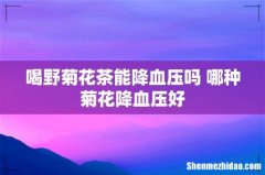 喝野菊花茶能降血压吗 哪种菊花降血压好