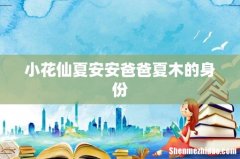 小花仙夏安安爸爸夏木的身份