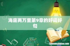 海底两万里第9章的好词好句