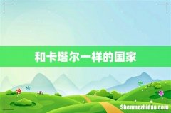 和卡塔尔一样的国家