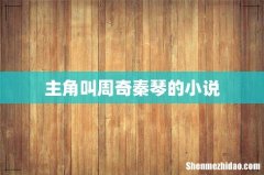 主角叫周奇秦琴的小说
